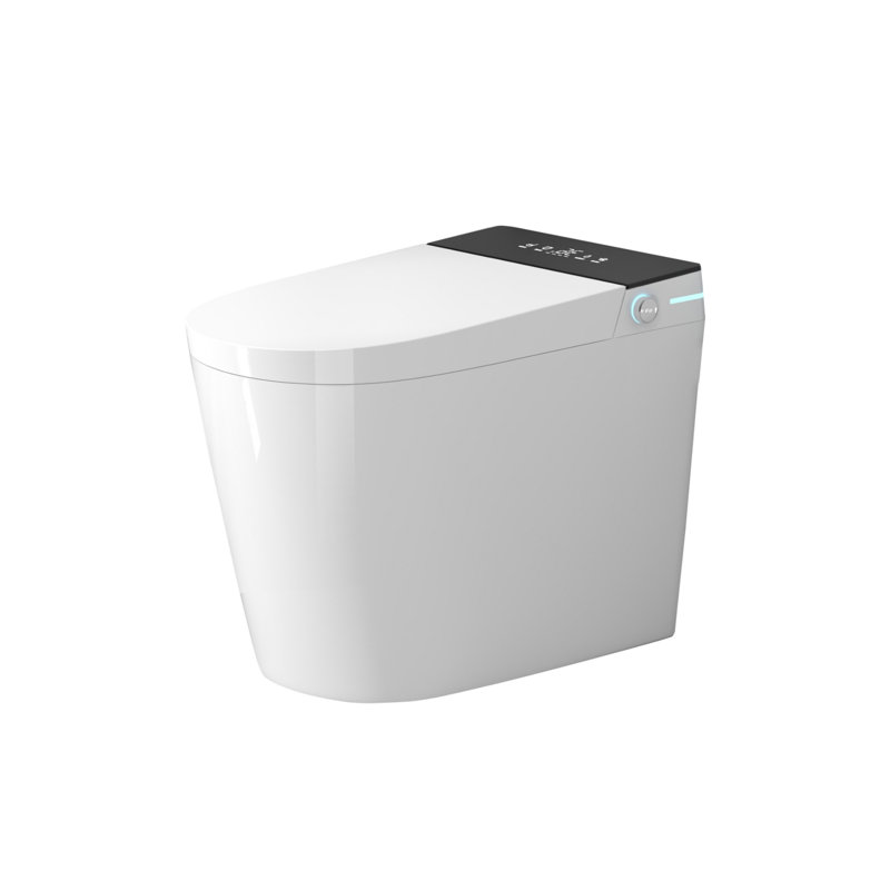 Profondeur de 23,25 pouces, toilette intelligente compacte avec baignoire intégrée, conception moderne sans réservoir d'eau, convient aux petites salles de bain, blanc avec panneau noir.