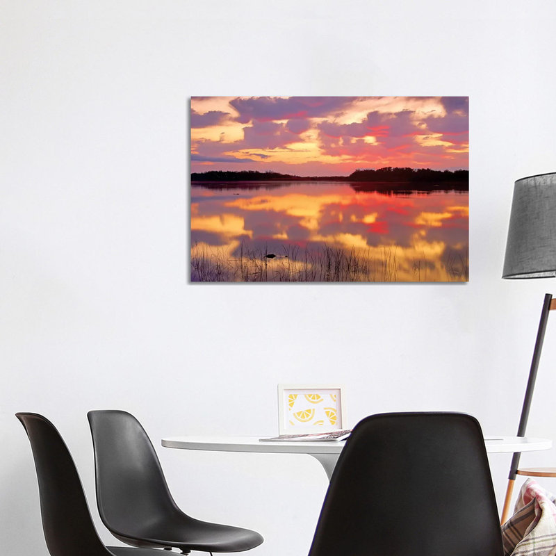 American Alligator Surfacing In Nine Mile Pond At Sunrise by Tim Fitzharris - Wrapped Canvas Print