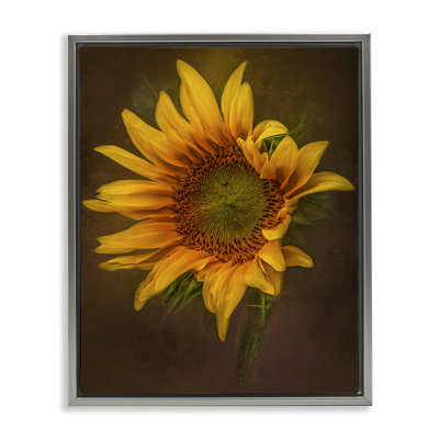 «Curling Petals Sunflower Floater» par Kelley Parker