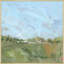 Summer Blur 1 Print