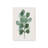 Green Leaf Impressions I Wrapped Canvas-512748331