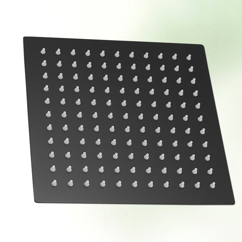 Rain Adjustable Shower Head 2.0 GPM GPM, Matte Black