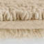 Tapis-116115957