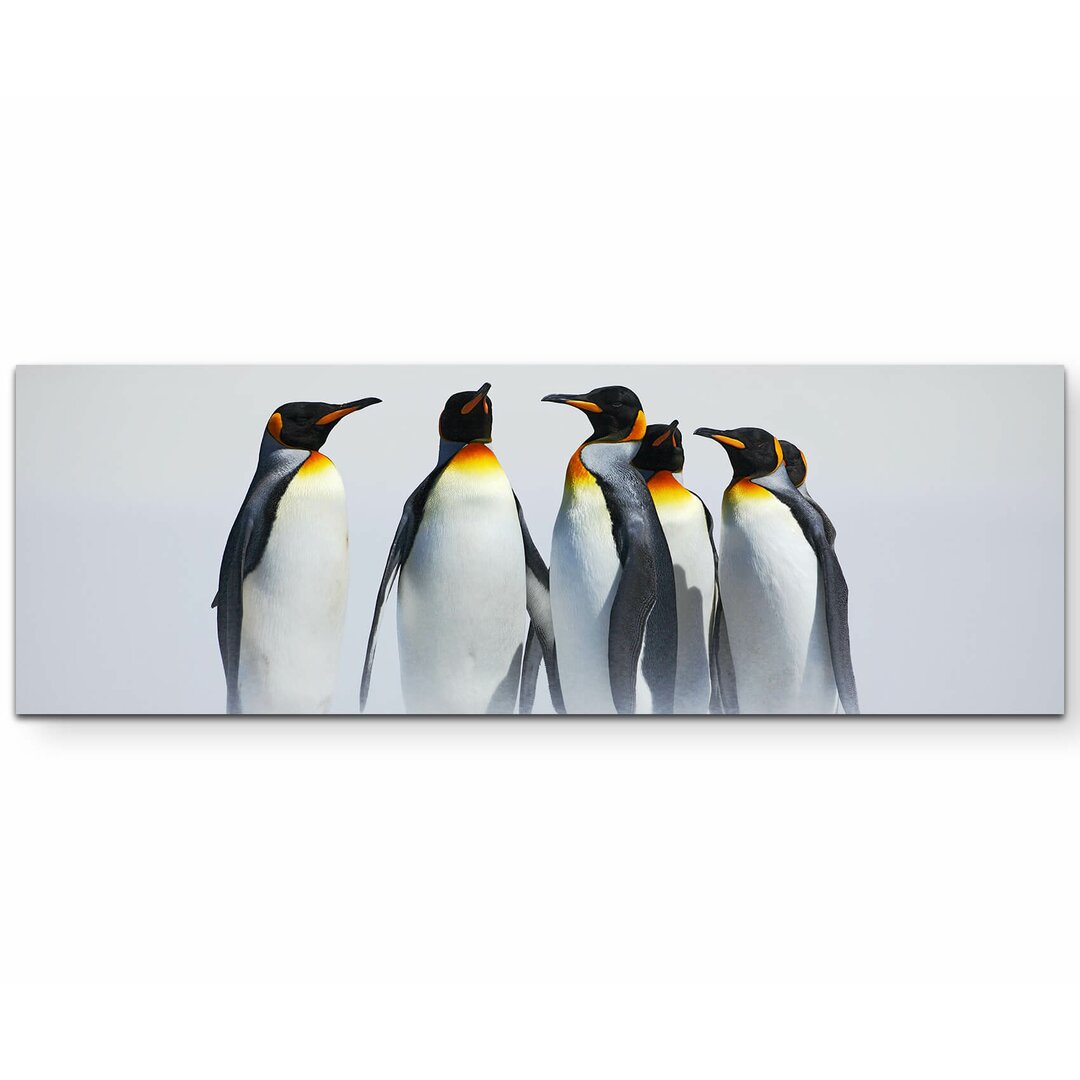 Leinwandbild Pinguin Gruppe