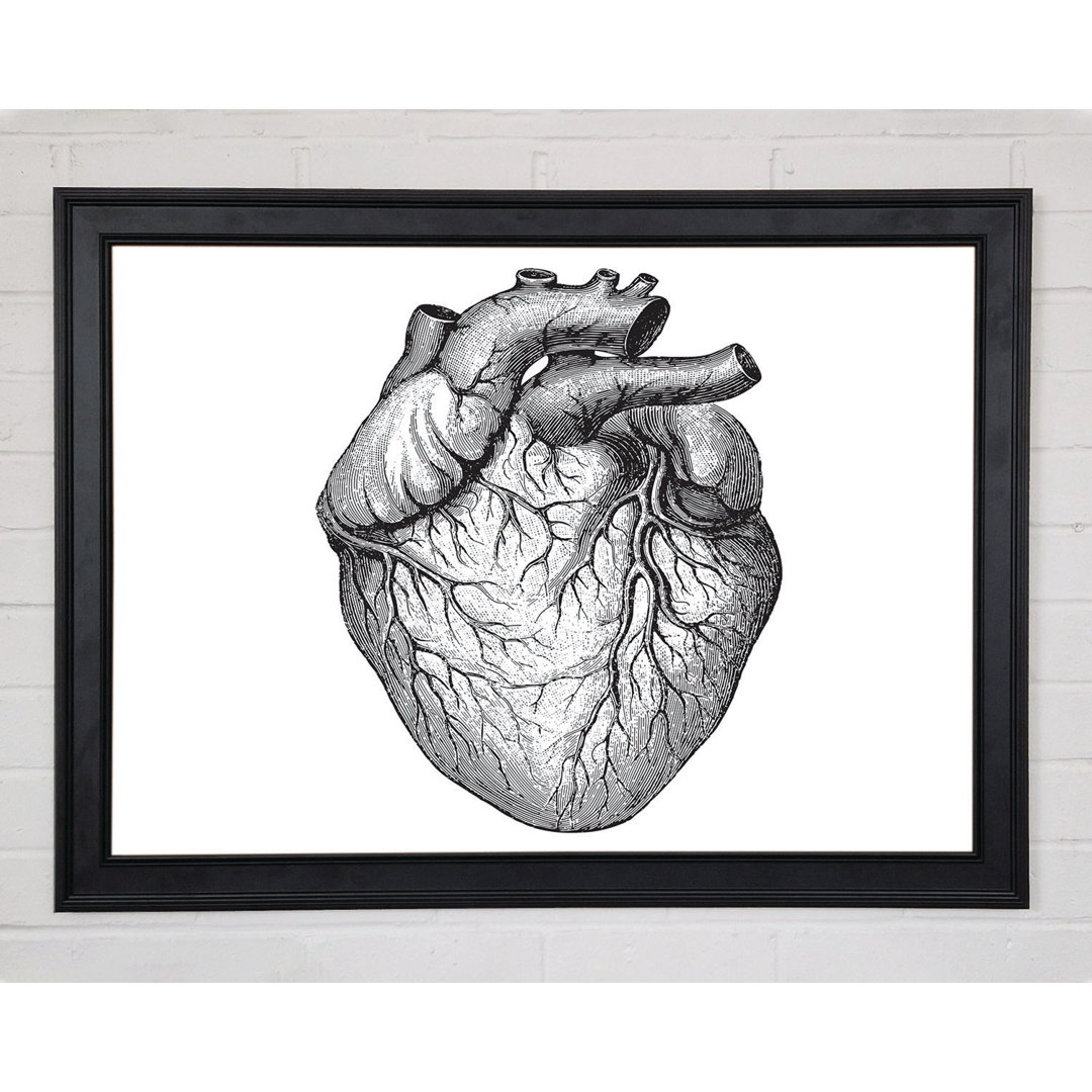 Gerahmtes Leinwandbild Anatomy Of The Heart