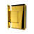 Polished Brass