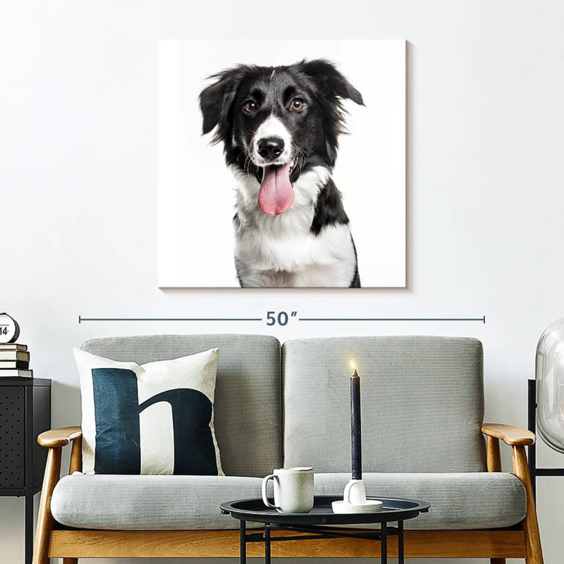 Crowle Border Collie, H 30 po x l 30 po