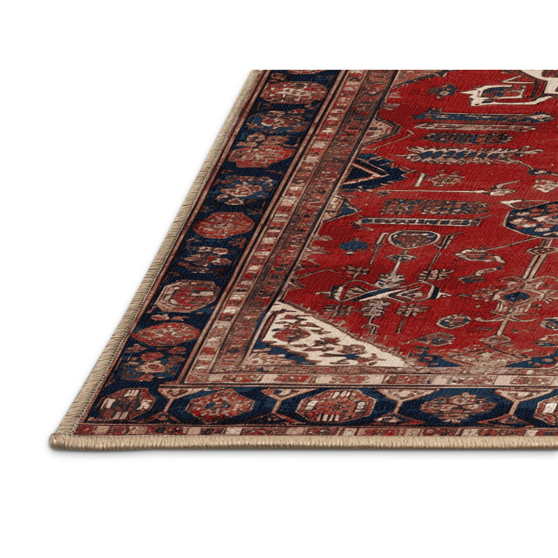 Tapis brun lavable à la machine, Rectangle 4 pi x 6 pi