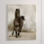 In Desert Storm Print by Sofia Fox-25708754-25708762