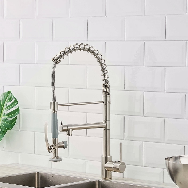Robinet de cuisine commercial avec douchette extractible, robinet d'évier de cuisine à poignée simple