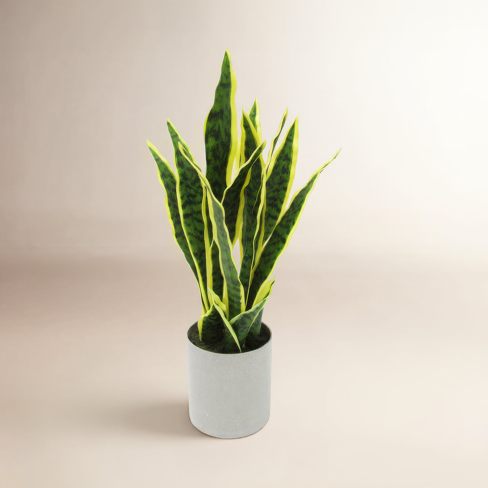 Artificial Sansevieria Snake Plant in Pot, 18'' H x 9'' W x 6'' D