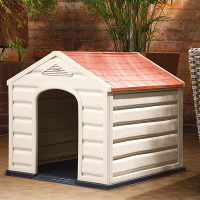 Niche Branstetter