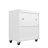Fortress 31.5" H x 30" W x 18.2" D Modern Metal Mobile Garage Storage Cabinet with Adjustable Shelves in White-764109296