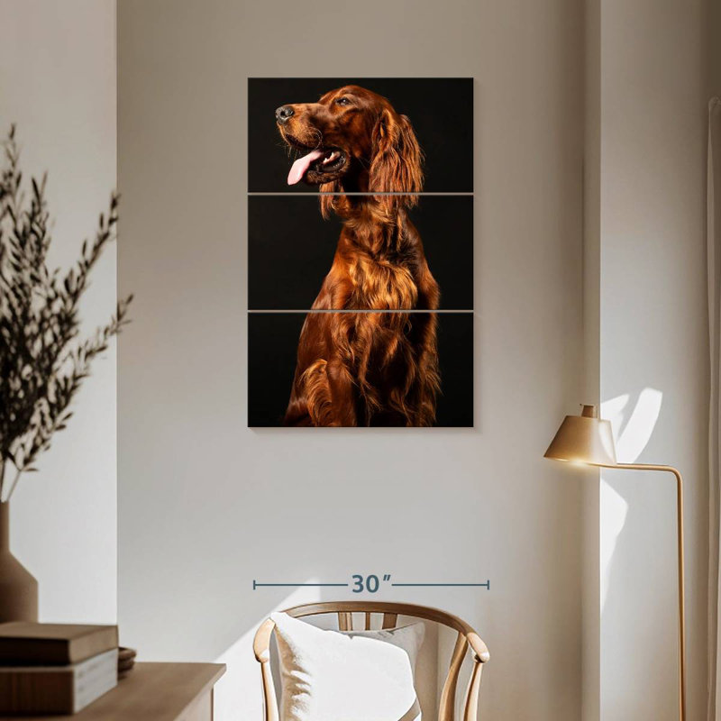 Setter irlandais Brampt, H 57 po x l 36 po