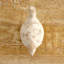 Figurine Cahn