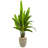 64'' Faux Palm Tree in Earthenware Pot