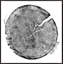 Pine Print-1545027293-1545027288