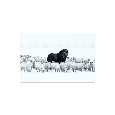 Lion Among Sheep by Ruvim Noga - Unframed Graphic Art -  August Grove®, 3B86CB9F74924FDB913B3491BC1B91F4