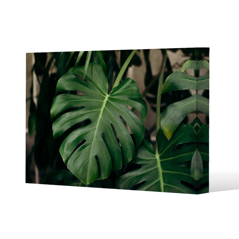 Monstera Leaves in home interior Slim Style Canvas Print, 15mm Slim Real wood., 30 cm H x 40 cm W