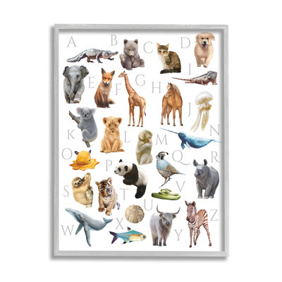 Animaux de l'alphabet traditionnel ABC - impression