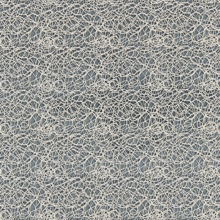 Tissu de dentelle moderne de luxe moderne, Champagne