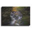 «Autumn On The Appalachian Trail» par Rick Berk, art mural en métal-721137803