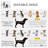 Foldable Pet Stroller with Detachable Carrier-86880162