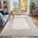 Rich Oriental Area Rug
