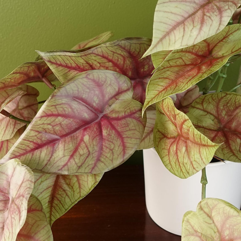 Foliage Plants 30cm Faux Plant in Planter