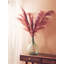 117cm Faux Pampas Grass Grass-734366493