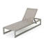 Ensemble de 2 chaises longues à cadre en aluminium durable avec dossier réglable et filet respirant pour un confort extérieur-2058237713