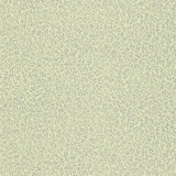 Standen Wallpaper