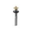 1.25" Lift and turn Tub Drain-144657566-222697995