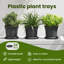 Round Flower Tray 24 Pcs Diameter 2 Cm Plastic-1320972994-1320972995
