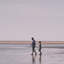 «Morning Stroll» par Kelly Frere, reproduction d'art encadrée sous verre