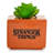 Caine 6'' Faux Succulent in Planter