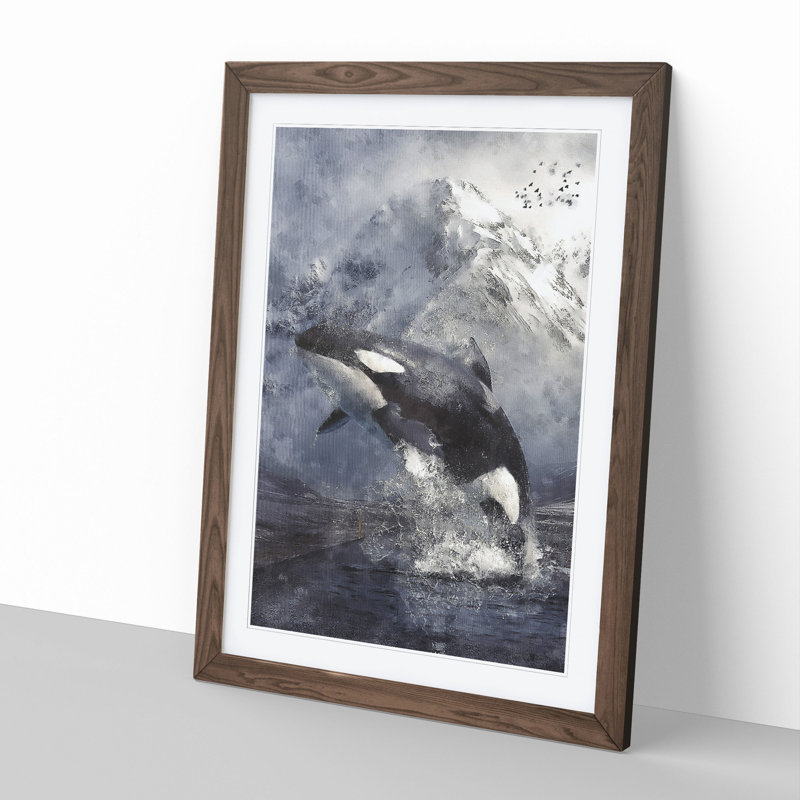 Killer Whale - Framed Print, 65cm H x 48cm W x 2cm D, Walnut Framed