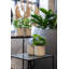 Bohemian Pots Handmade Fiberstone Planter-1726711415