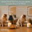Lampe chauffe-bougie Katziela Pet Welcome Noir