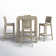 Farrah 4 - Person Patio Dining Set with Extendable