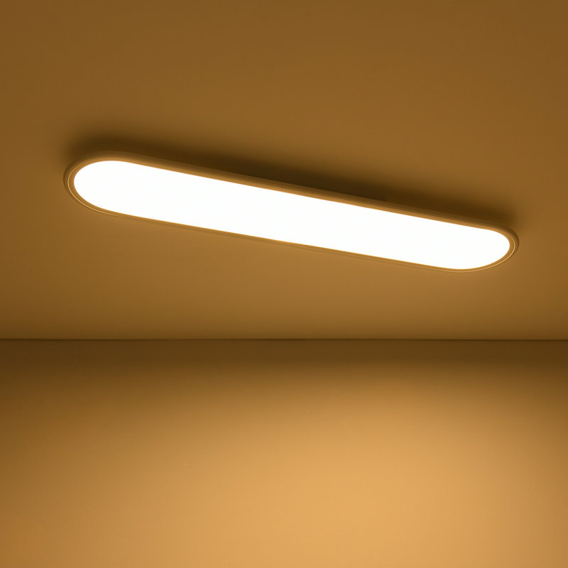Modern Simple Oval Long Led Semi Flush Mount