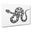 Boa Constrictor Snake In Black & White by George Shaw - Wrapped Canvas Print-55362643