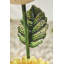 Weather Resistant Distinctive Fountain