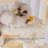 Elpida 23.6'' H Cat Tree-1271939126