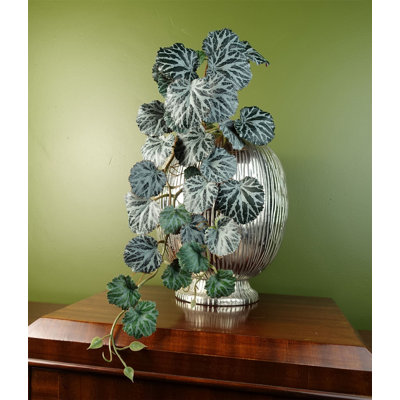 50cm Fern Plant