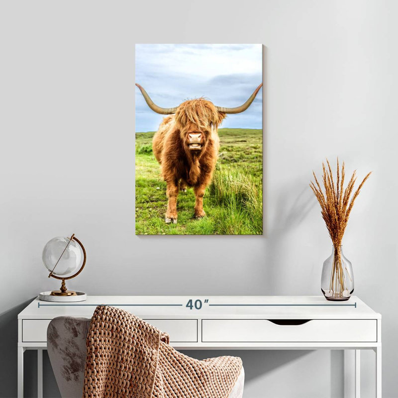 «Fluffy Baby Highland Cow», Écosse, H 24 po x l 16 po