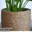 Indoor Planter Basket Natural Seagrass Three Set - 25cm, 20cm & 17cm Diameter-1320710166-1320710169