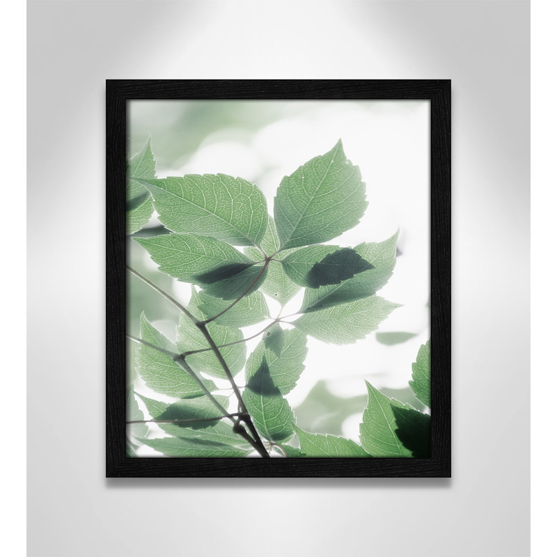 Fields of Greens Fields of Green II - cadre photo, impression, H 15 po x l 13 po x P 0,75 po, Cadre noir