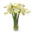 Phalaenopsis In Glass