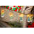 Vanessa Indoor / Outdoor 6 - Bulb 2.83 in. Battery Powered LED Novelty String Light